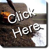 Thatch Roof Maintenance