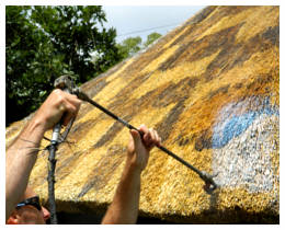 Thatch Fire Protection methods and services - Eastern Cape