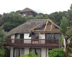 Thatched roof being stripped of thatch