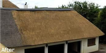 Cintsa Thatching - Thatched Roof Maintenance