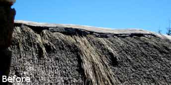Cintsa Thatching - Thatched Roof Maintenance