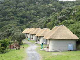 Silaka Thatching Project - Eastern Cape, South Africa